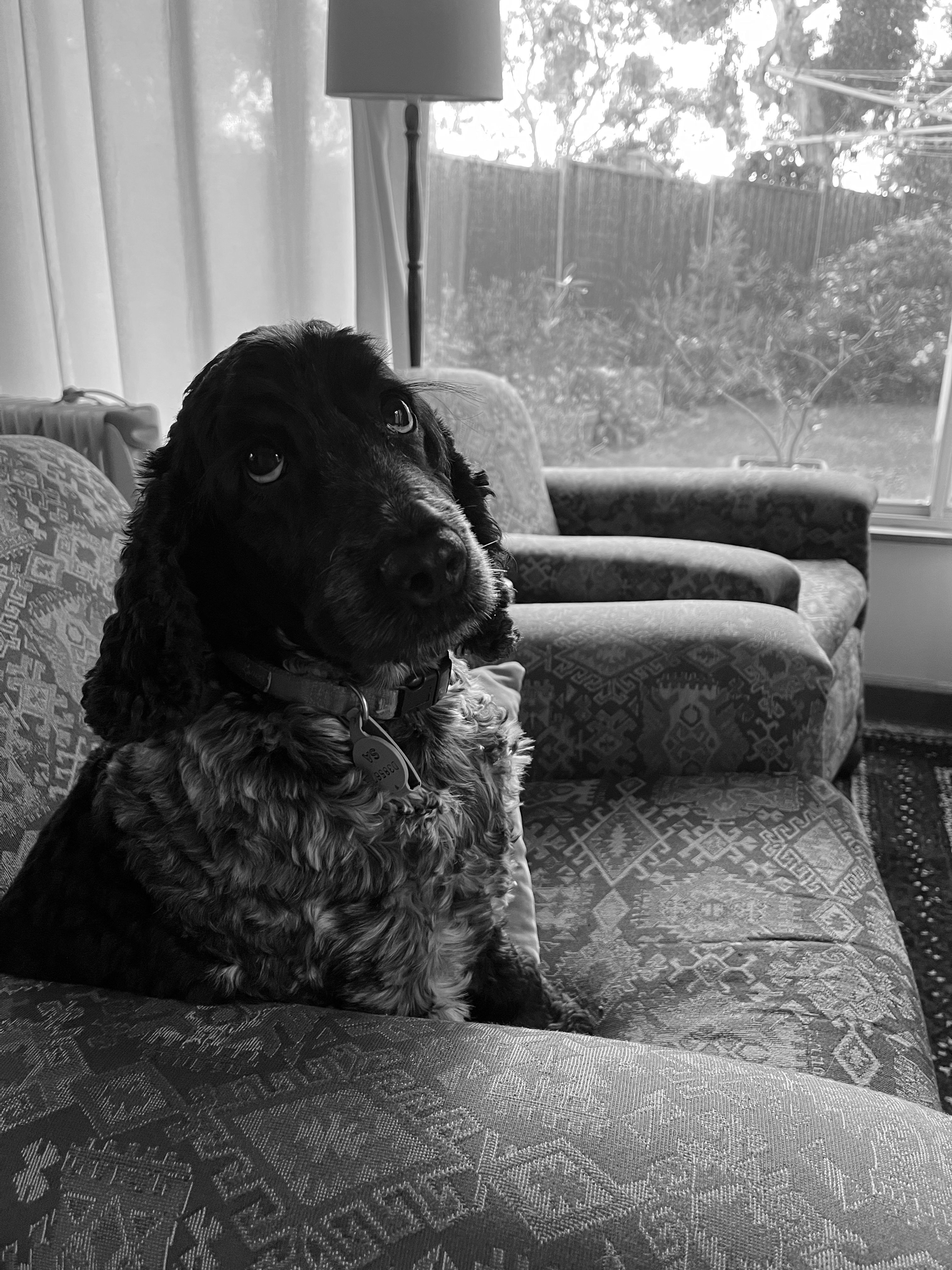 Rosie